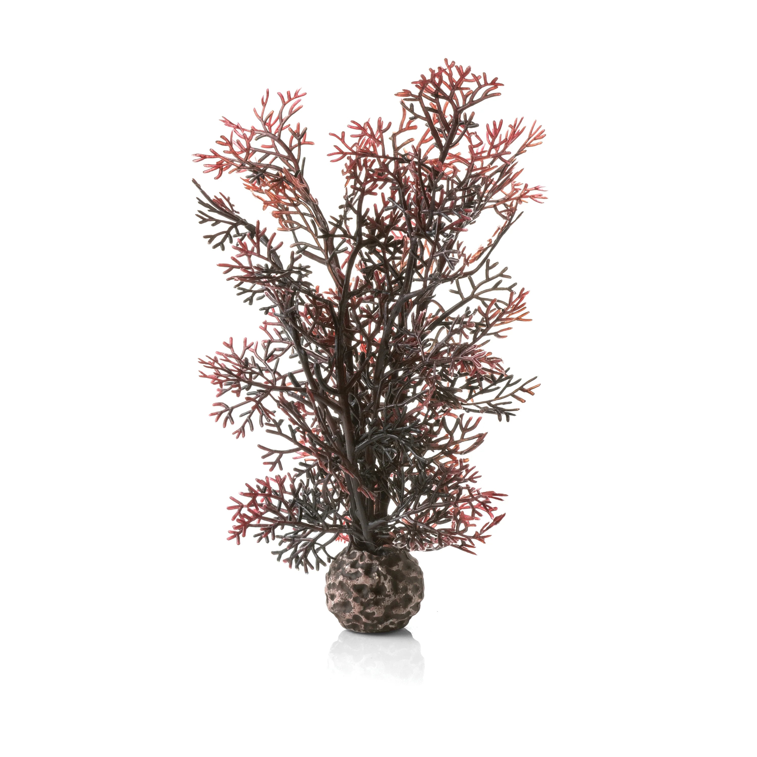 BiOrb Small Sea Fan - Perfect Aquatics Ltd