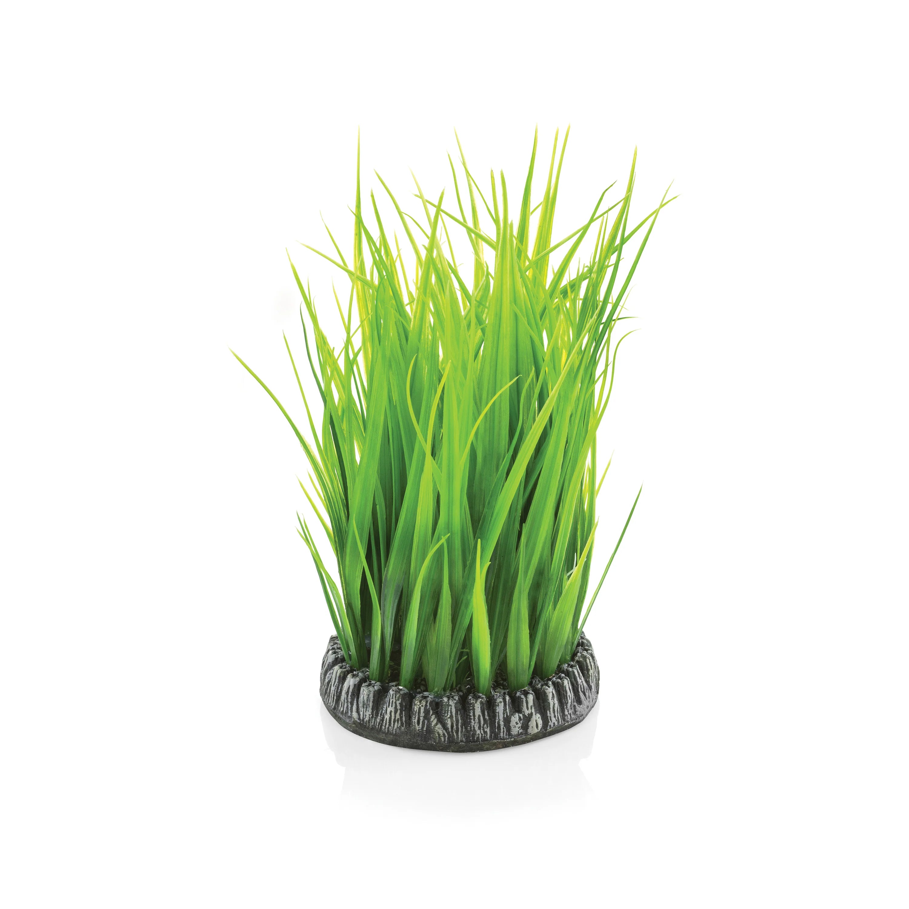 BiOrb Green Grass Ring - Medium - Perfect Aquatics Ltd