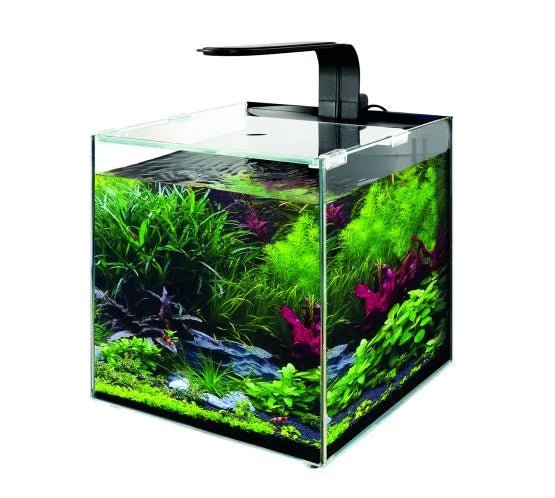 TMC AquaGro Biome Aquarium - Perfect Aquatics Ltd
