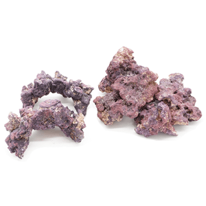 Caribsea Liferock Nano Reefkit - Perfect Aquatics Ltd