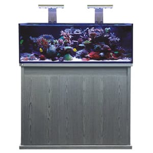D - D Reef - Pro 1200 Aquarium - Standard Sump - Perfect Aquatics Ltd