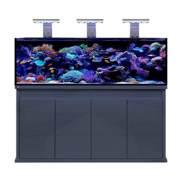 D - D Reef - Pro 1800 Aquarium - Clarisea Ready Sump - Perfect Aquatics Ltd