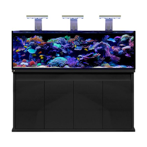 D - D Reef - Pro 1800 Aquarium - Clarisea Ready Sump - Perfect Aquatics Ltd