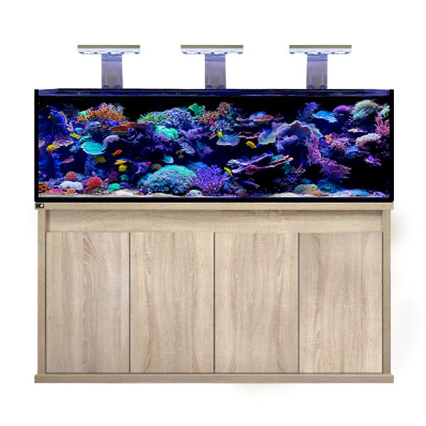D - D Reef - Pro 1800 Aquarium - Clarisea Ready Sump - Perfect Aquatics Ltd