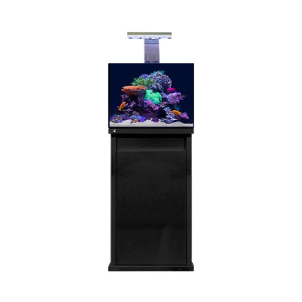 D - D Reef - Pro 600 Aquarium - Clarisea Ready Sump - Perfect Aquatics Ltd