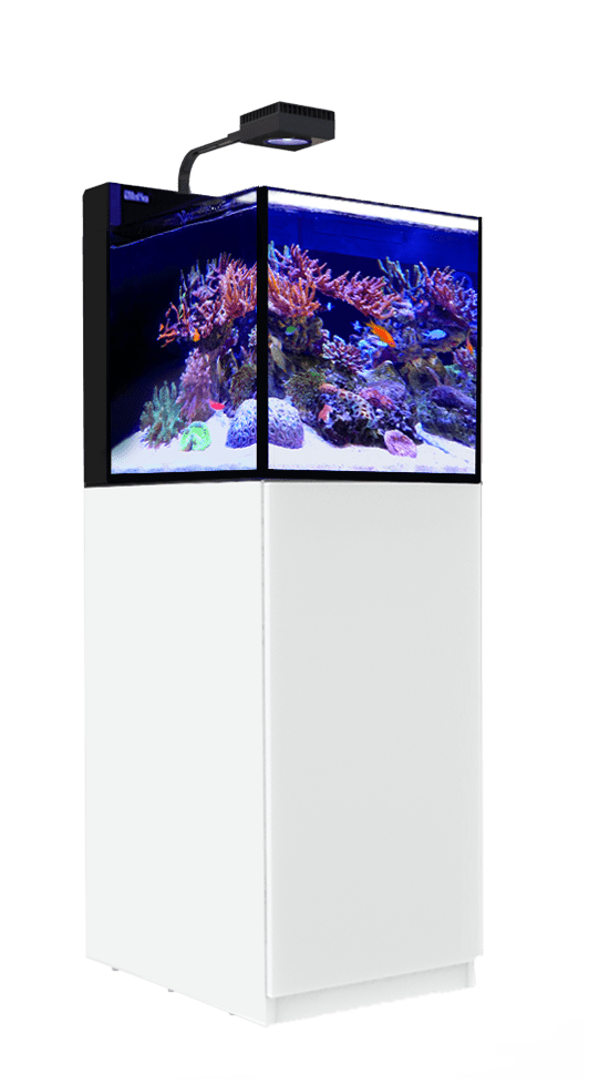 Red Sea MAX Nano G2 Peninsula (Complete) - Perfect Aquatics Ltd