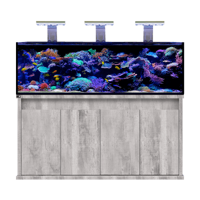 D - D Reef - Pro 1800 Deluxe - Clarisea Sump - Perfect Aquatics Ltd