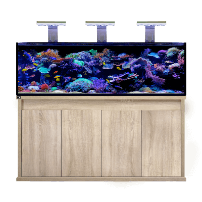 D - D Reef - Pro 1800 Deluxe - Clarisea Sump - Perfect Aquatics Ltd
