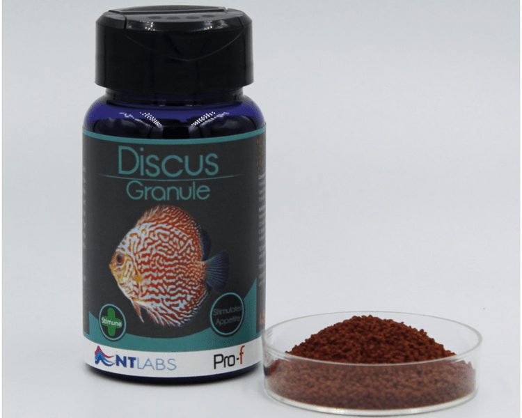 NT Labs Pro - F Discus Granule 95g - Perfect Aquatics Ltd