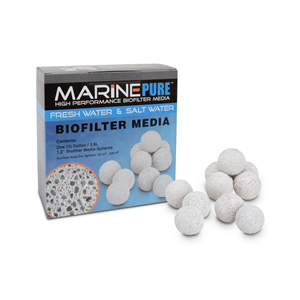 Marine Pure 1 Gallon Sphere - Perfect Aquatics Ltd