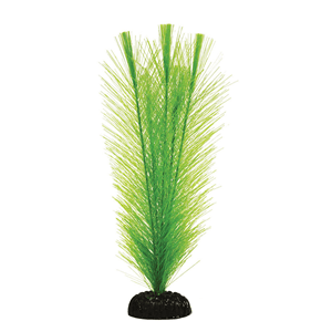 Hugo Fern Green Silk 20Cm - Perfect Aquatics Ltd