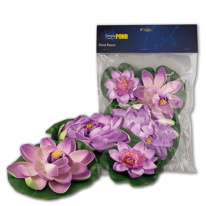 Simply Pond Lily Purple Pk3 - Perfect Aquatics Ltd