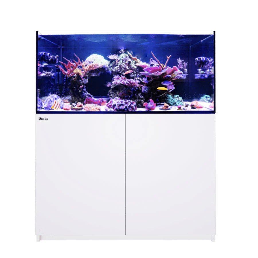 Red Sea Reefer G3 350 Aquarium - Perfect Aquatics Ltd