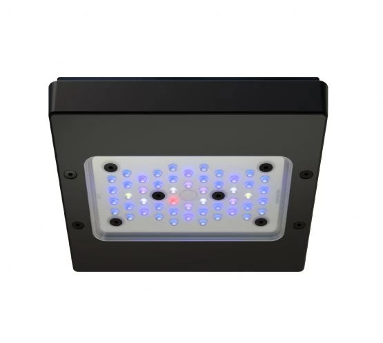 Ecotech Radion XR15w Blue G6 LED and Tank Mount