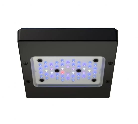 Ecotech Radion XR15w Blue G6 LED and Tank Mount - Perfect Aquatics Ltd
