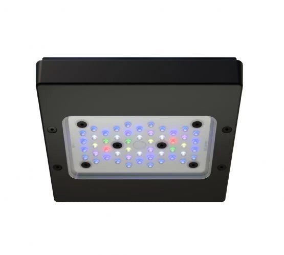 Ecotech Radion XR15w Pro G6 LED and Tank Mount - Perfect Aquatics Ltd