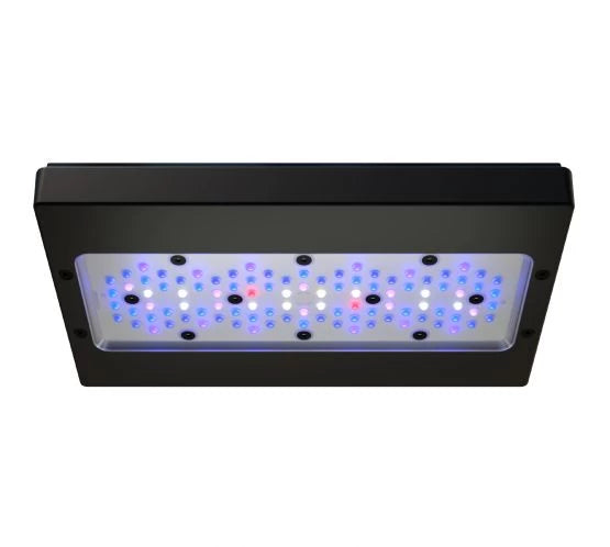 Ecotech Radion XR30w Blue G6 LED and Tank Mount