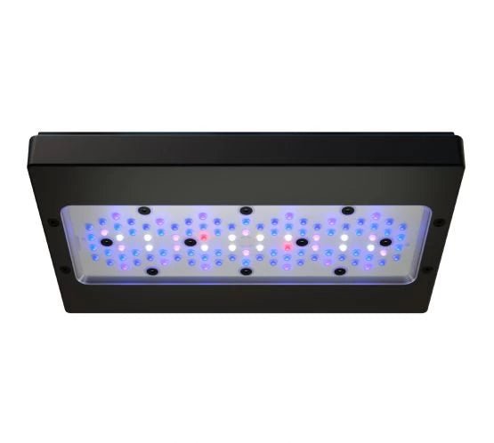 Ecotech Radion XR30w Blue G6 LED and Tank Mount - Perfect Aquatics Ltd