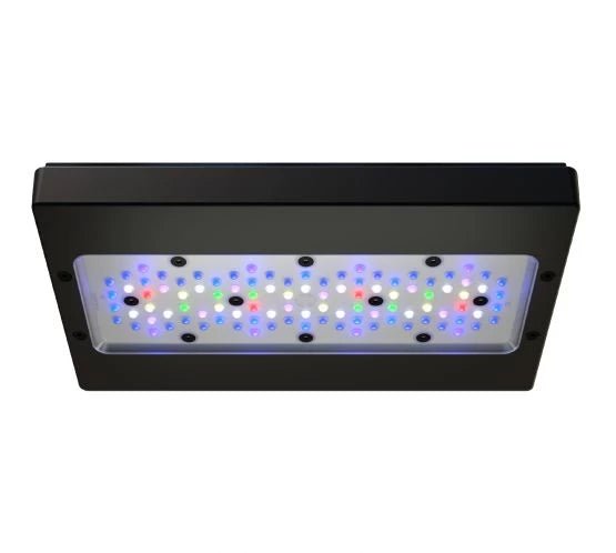 Ecotech Radion XR30w Pro G6 LED and Tank Mount - Perfect Aquatics Ltd