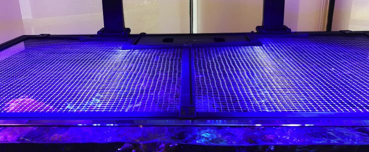 Red Sea DIY Aquarium Net Cover - Perfect Aquatics Ltd