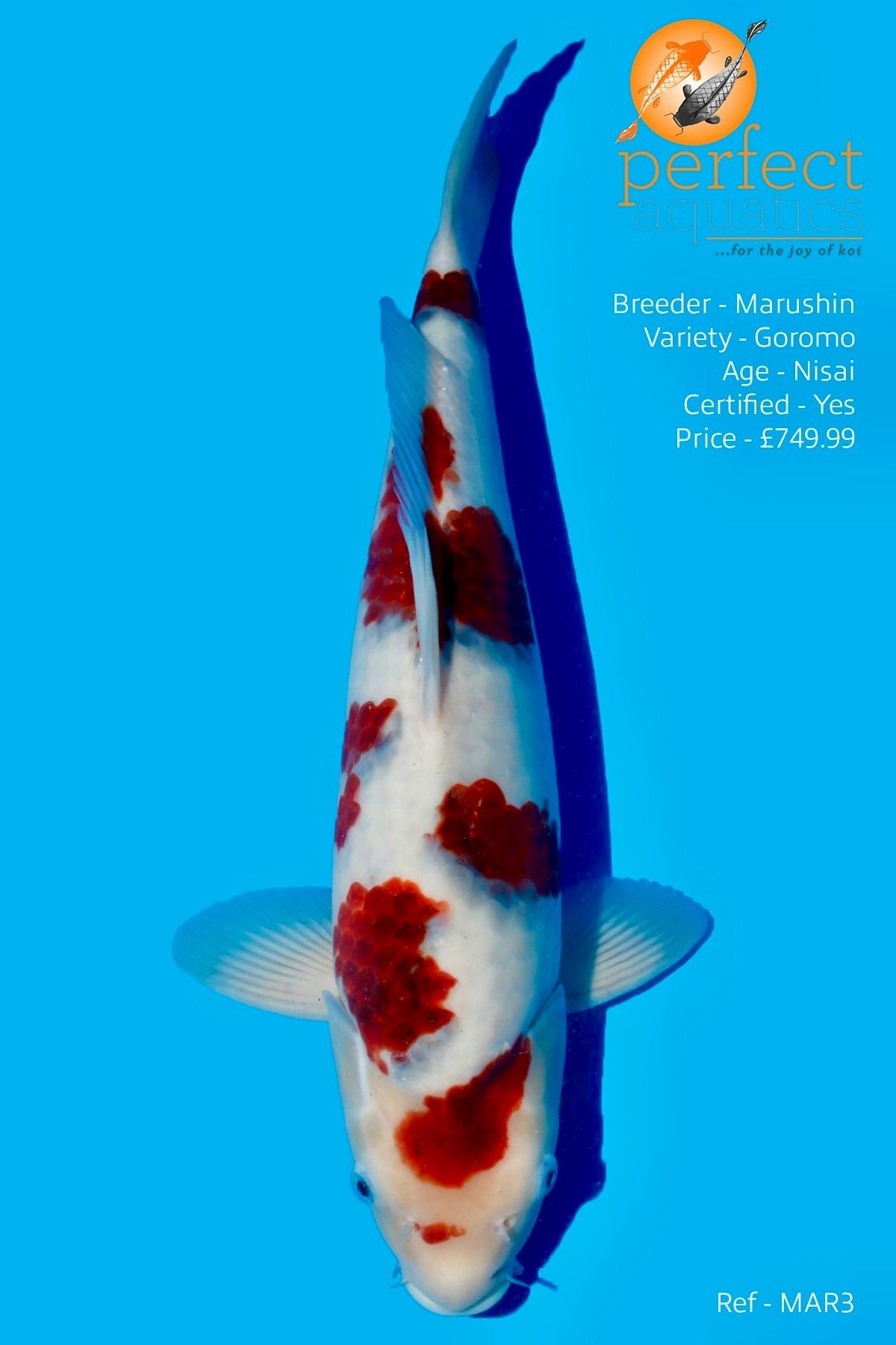 Marushin - Goromo - Perfect Aquatics Ltd