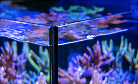 Red Sea Max E - Series 260 - Perfect Aquatics Ltd