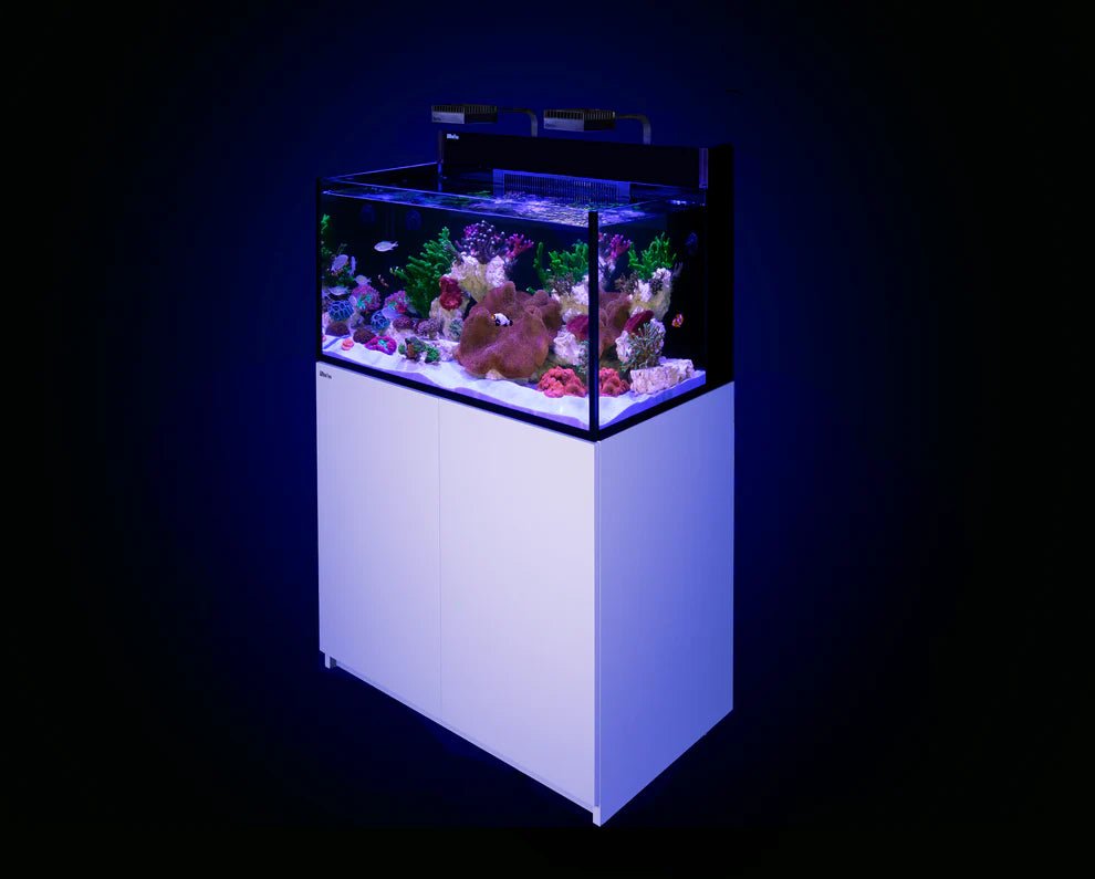 Red Sea MAX NANO G2 XXL - Perfect Aquatics Ltd