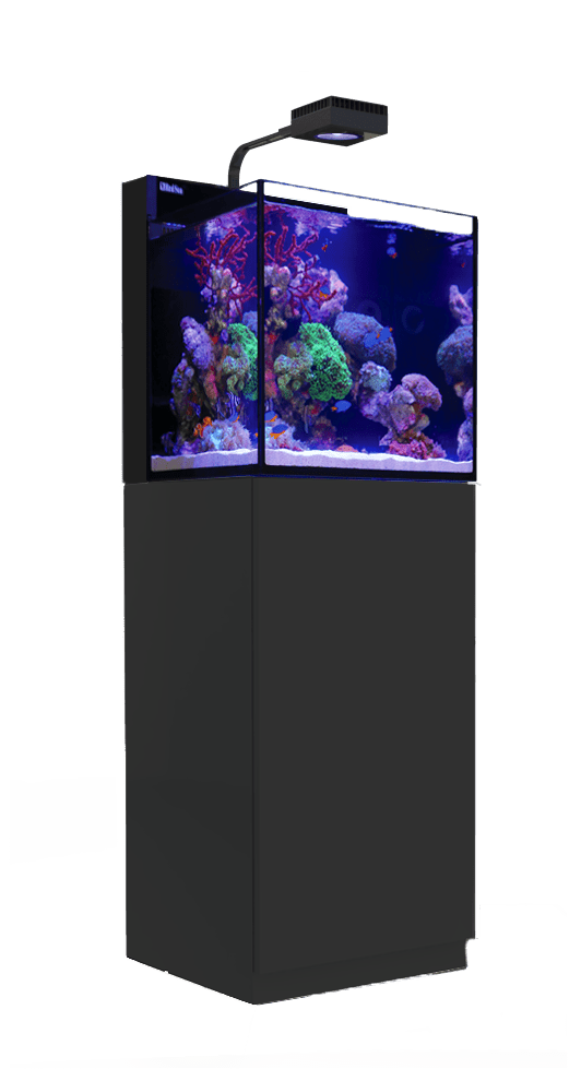 Red Sea MAX Nano G2 Cube - Perfect Aquatics Ltd