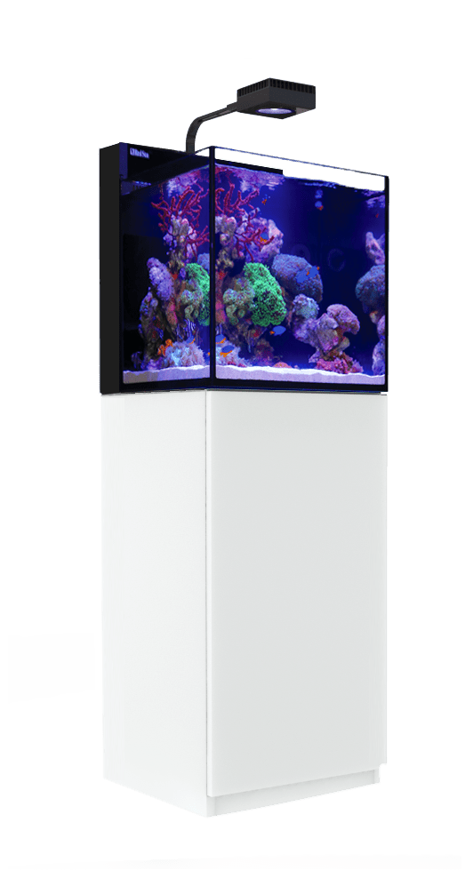 Red Sea MAX Nano G2 Cube - Perfect Aquatics Ltd