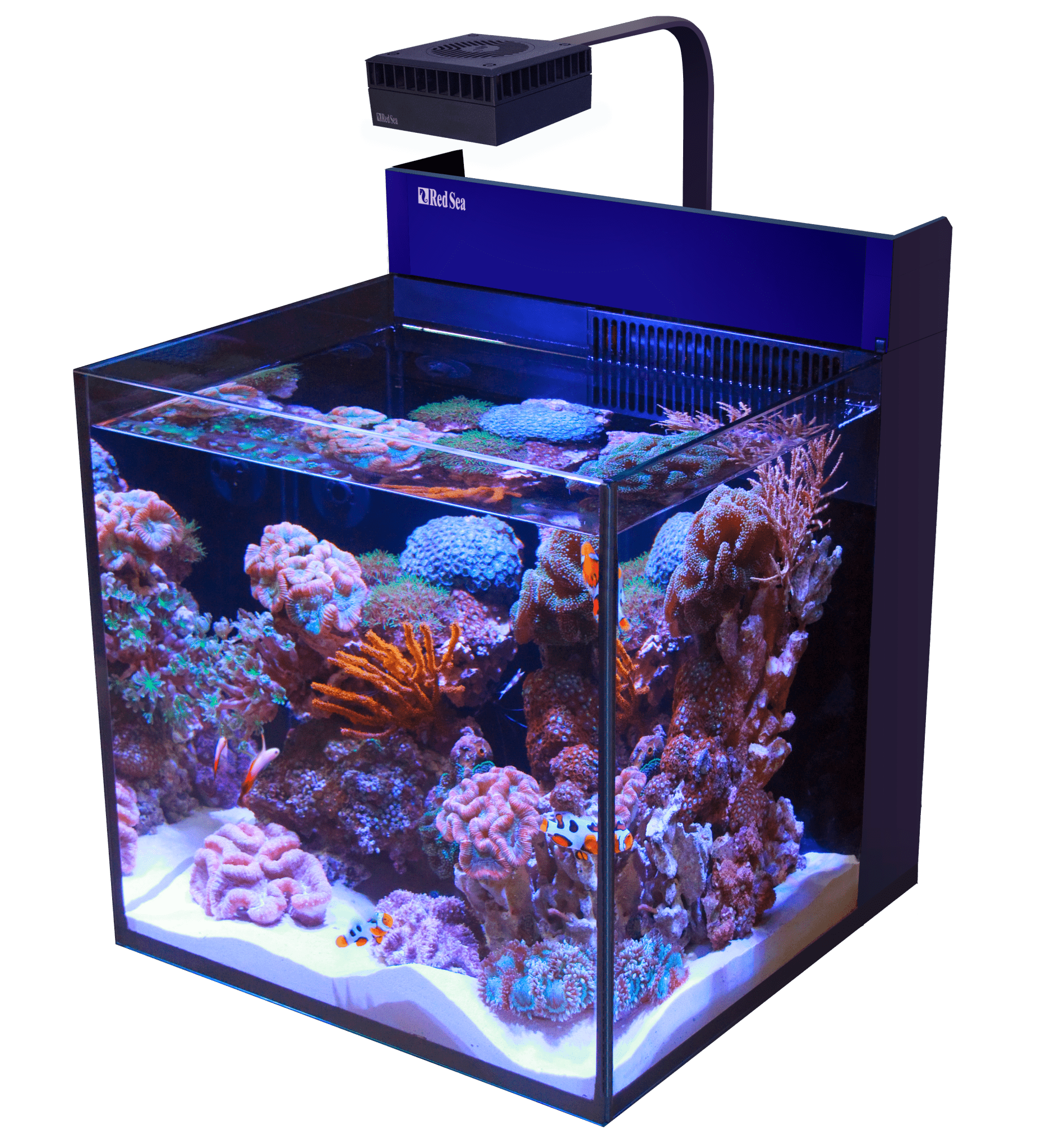 Red Sea MAX Nano G2 Cube - Perfect Aquatics Ltd