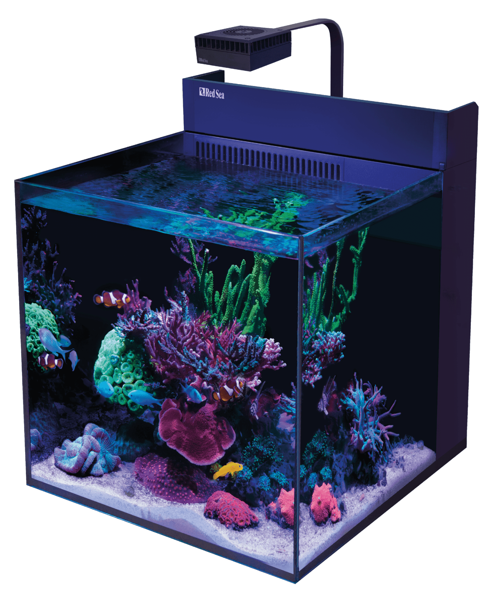 Red Sea MAX NANO G2 XL - Perfect Aquatics Ltd