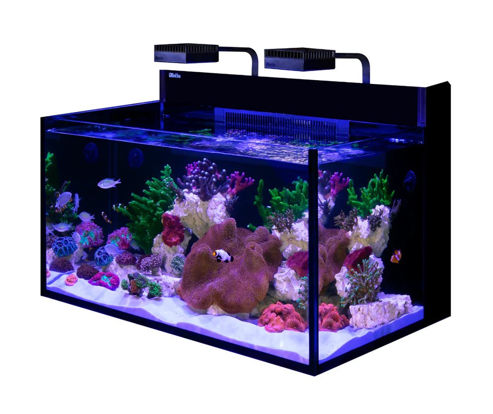 Red Sea MAX NANO G2 XXL - Perfect Aquatics Ltd