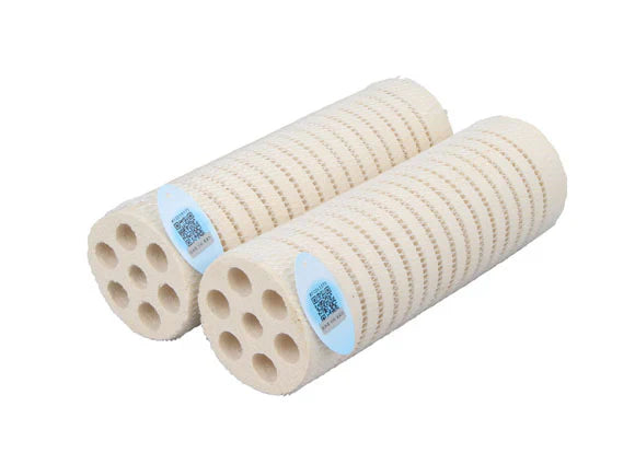 Mountain Tree Lotus Root Bacteria House Gen 2