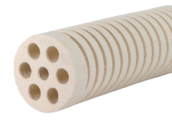 Mountain Tree Lotus Root Bacteria House Gen 2