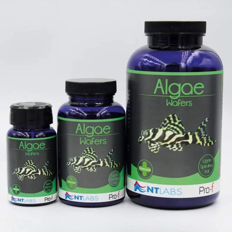 NT Labs Pro - F Algae Wafers - Perfect Aquatics Ltd