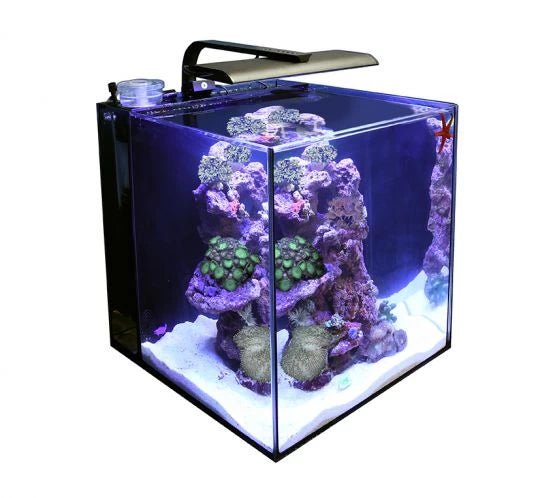 TMC Next Wave 60 Aquarium - Perfect Aquatics Ltd