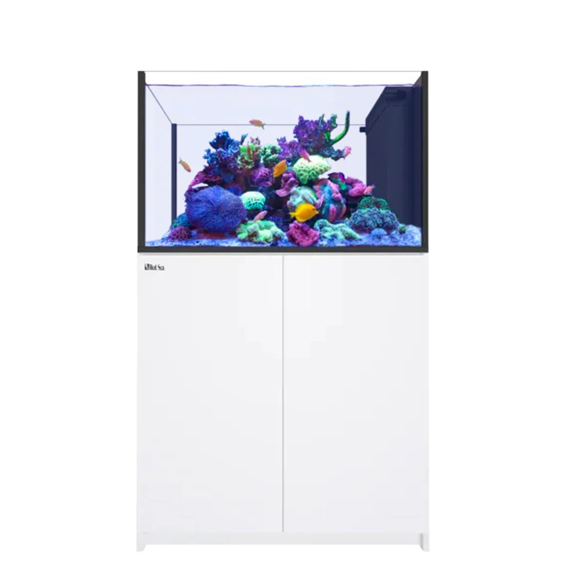 Red Sea Reefer Peninsula G3 350 Aquarium - Perfect Aquatics Ltd