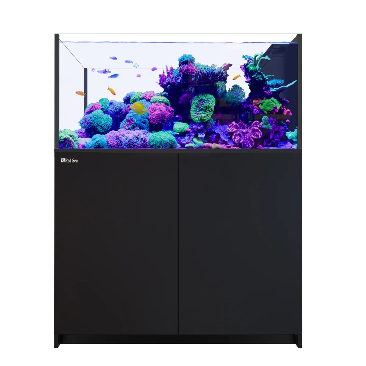 Red Sea Reefer Peninsula G3 500 Aquarium - Perfect Aquatics Ltd