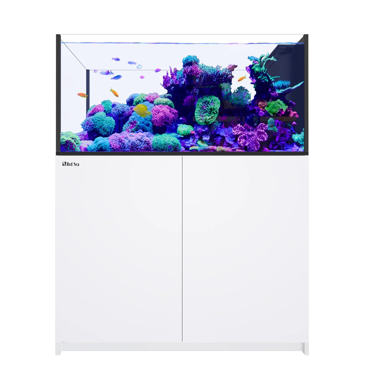 Red Sea Reefer Peninsula G3 500 Aquarium - Perfect Aquatics Ltd