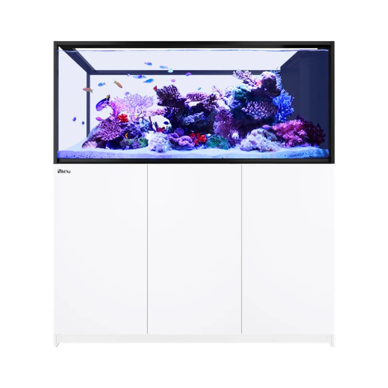 Red Sea Reefer Peninsula G3 S - 700 Aquarium - Perfect Aquatics Ltd