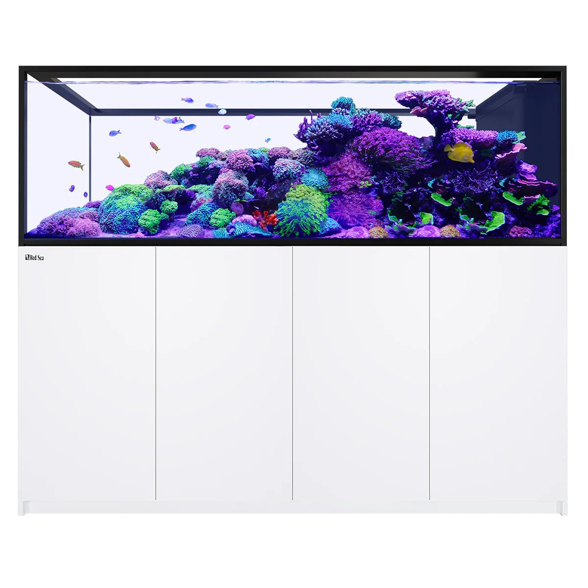Red Sea Reefer Peninsula G3 S - 950 Aquarium - Perfect Aquatics Ltd
