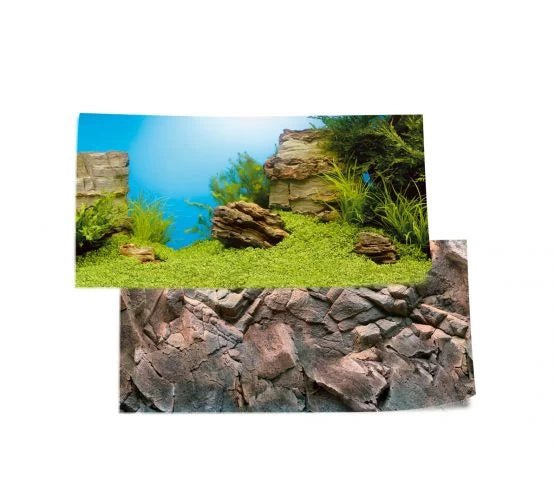 Juwel Poster - L (100cm x 50cm) - Perfect Aquatics Ltd