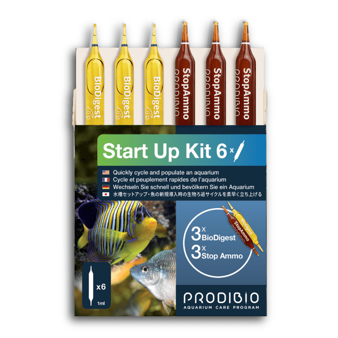Prodibio Start Up – Aquarium Start - Up Kit with BioDigest & Stop Ammo - Perfect Aquatics Ltd