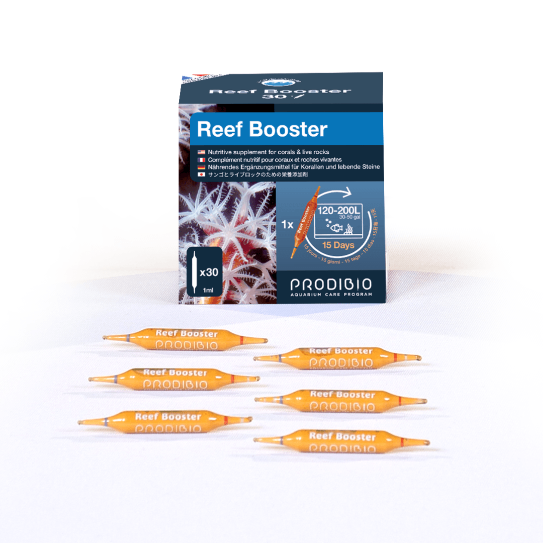 Prodibio Reef Booster – Coral & Live Rock Nutrition for Reef Aquariums - Perfect Aquatics Ltd