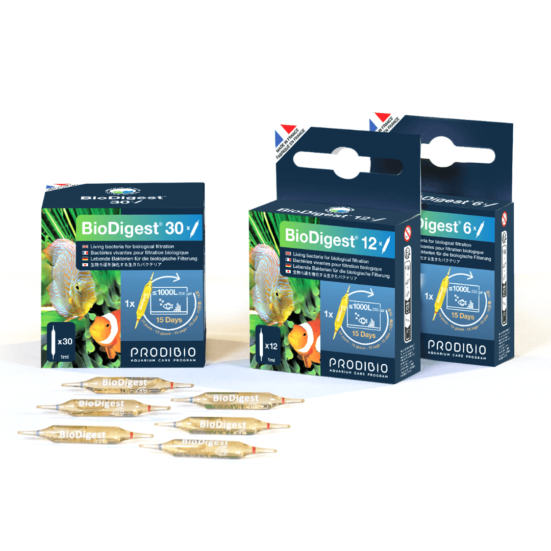 Prodibio BioDigest – Aquarium Beneficial Bacteria Treatment - Perfect Aquatics Ltd