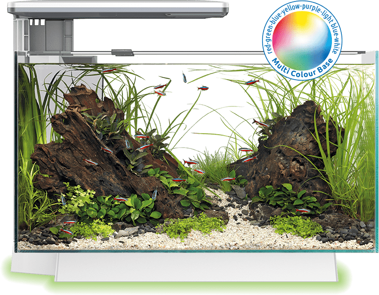Superfish Quadro Multi Colour Base Aquarium - Perfect Aquatics Ltd