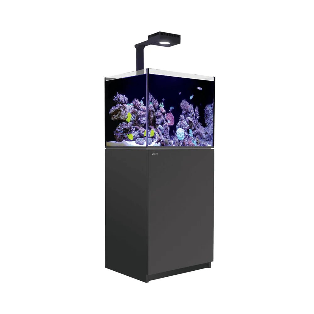 Red Sea Reefer Max G2+ XL 200 Aquarium - Perfect Aquatics Ltd