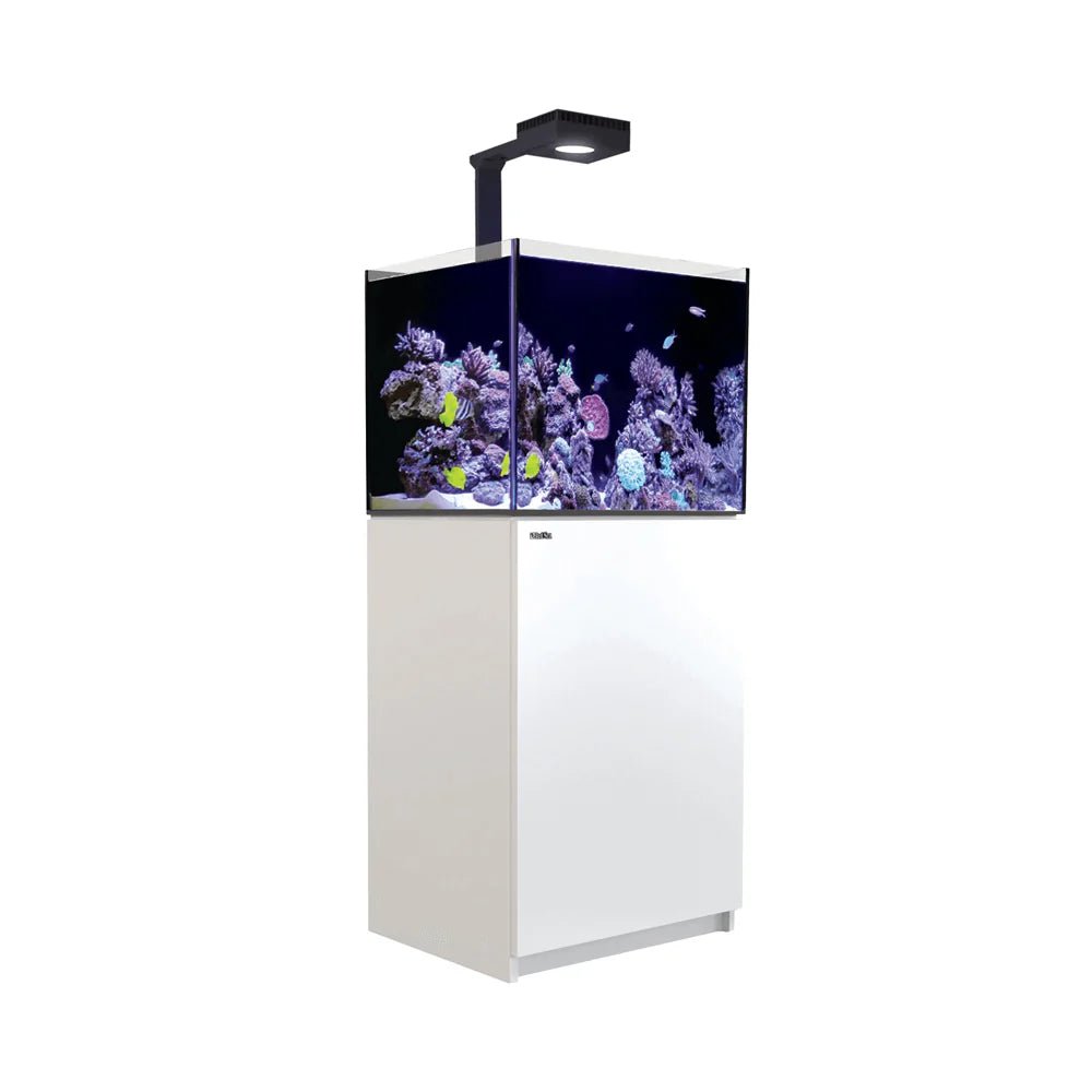 Red Sea Reefer Max G2+ XL 200 Aquarium - Perfect Aquatics Ltd