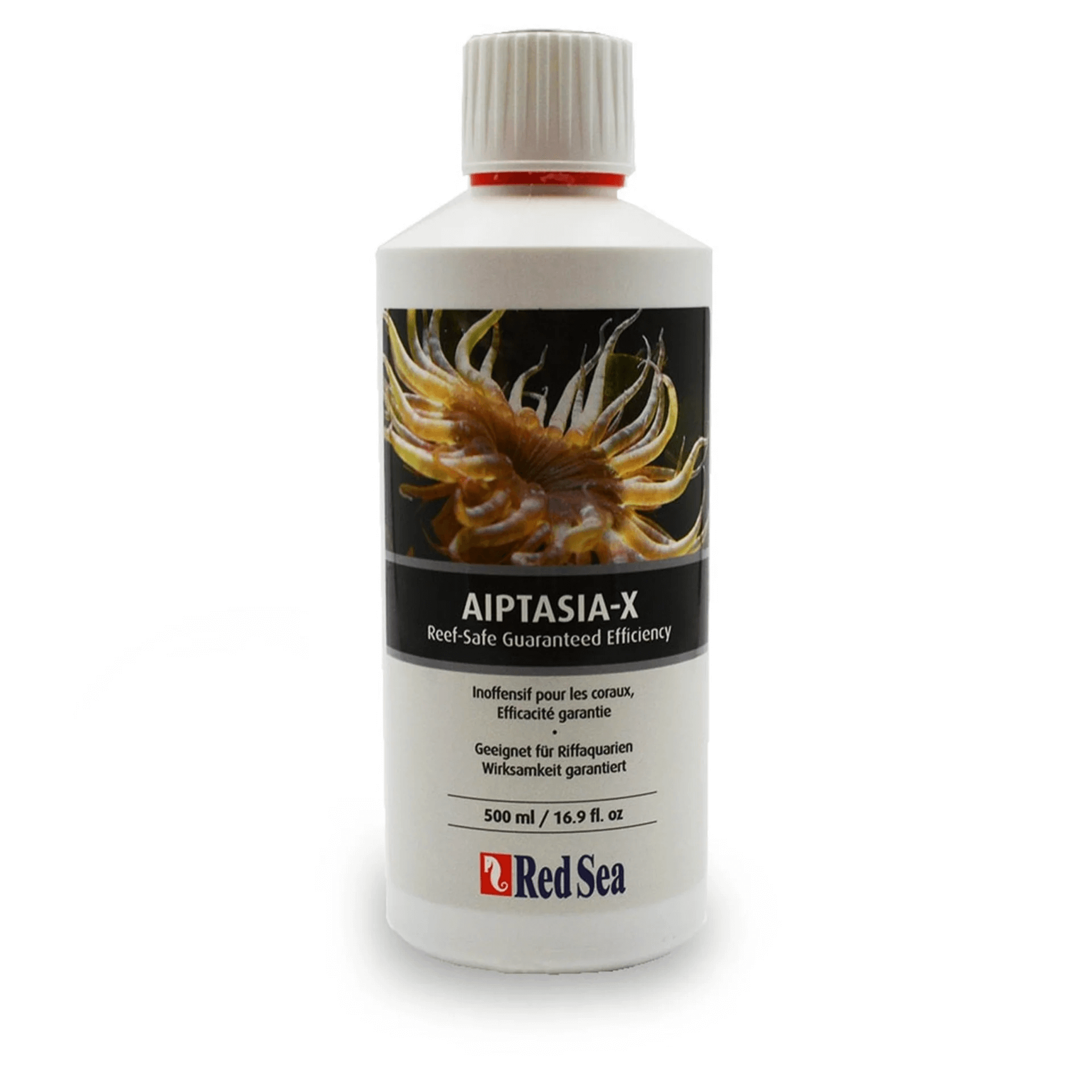 Red Sea Aiptasia - X - Perfect Aquatics Ltd