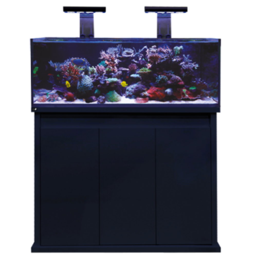 D-D Reef-Pro 1200 Aquarium - Clarisea Ready Sump